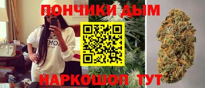 spice Кимры