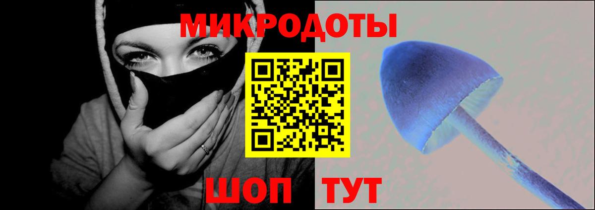 Псилоцибиновые грибы мухоморы  купить закладку  Кстово  Вход с VPN 
